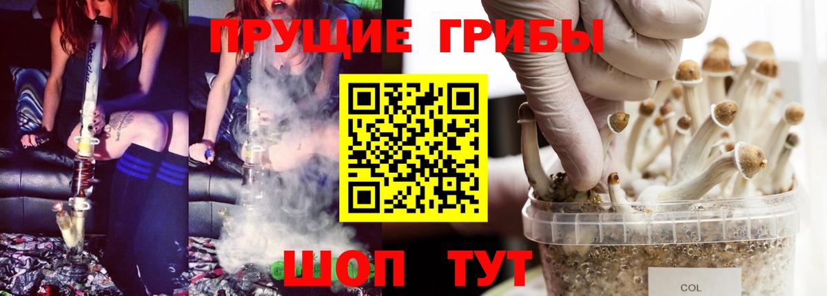 Рузаевка  Галлюциногенные грибы Psilocybe  Вход с VPN 